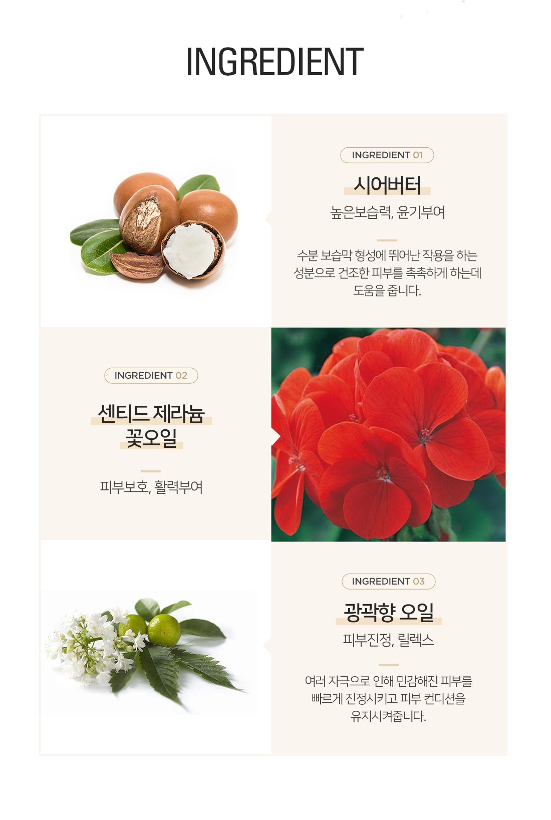 [밤코스메틱] 입욕제 2종 세트A 상세 이미지 4