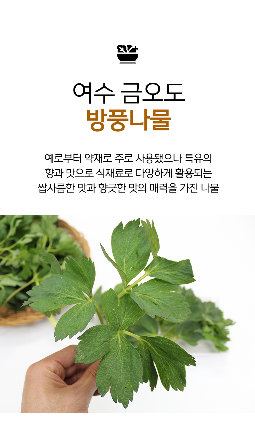 [예약배송 3월4일 출고 예정] 여수 금오도 해풍맞은 방풍나물 봄나물 나물 1kg 500g
