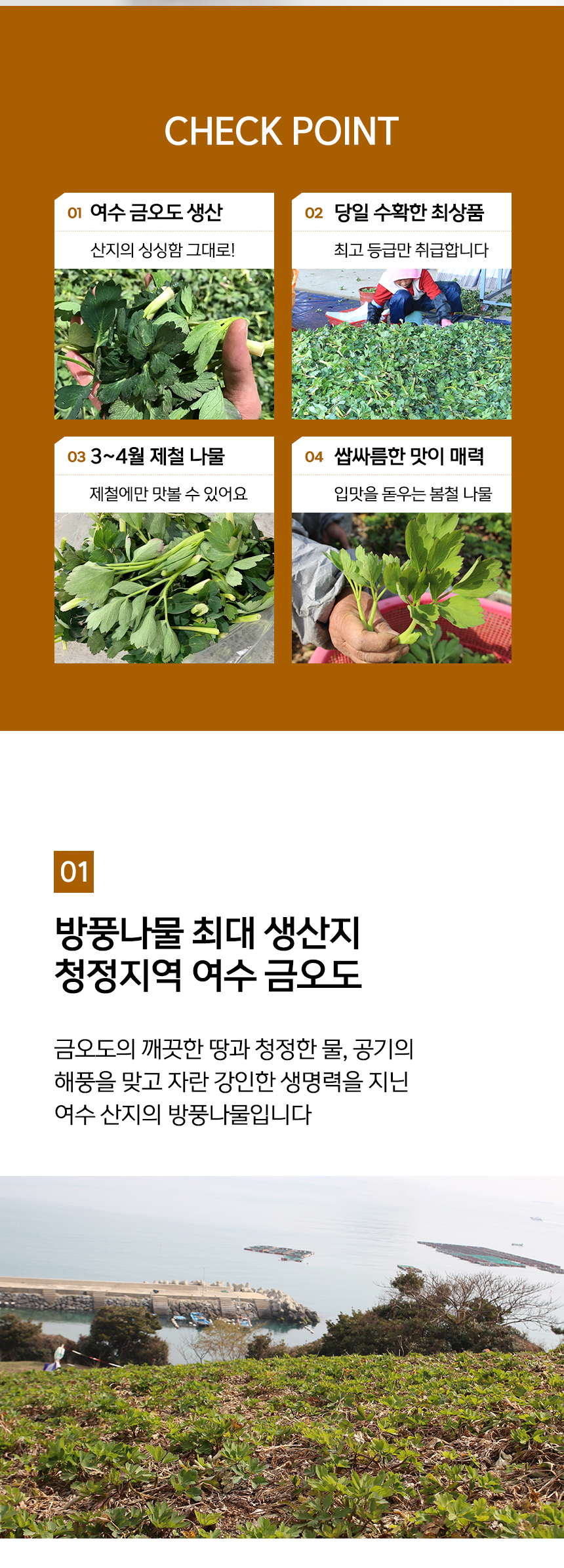 [예약배송 3월4일 출고 예정] 여수 금오도 해풍맞은 방풍나물 봄나물 나물 1kg 500g