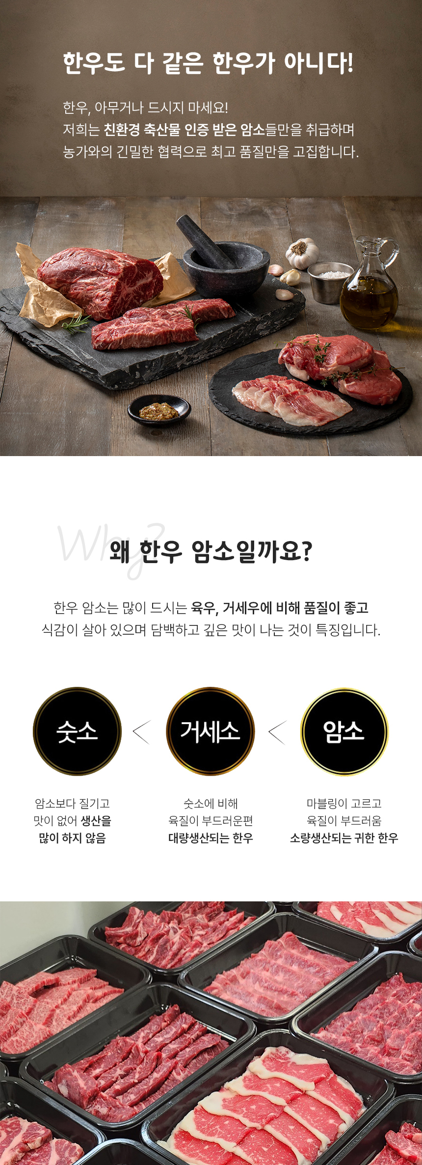 국내산 1+ 한우 암소 소고기 특수부위 모음 200g 구이용 꽃등심 안창살 토시살 살치살 갈비살 안심 육회 생차돌