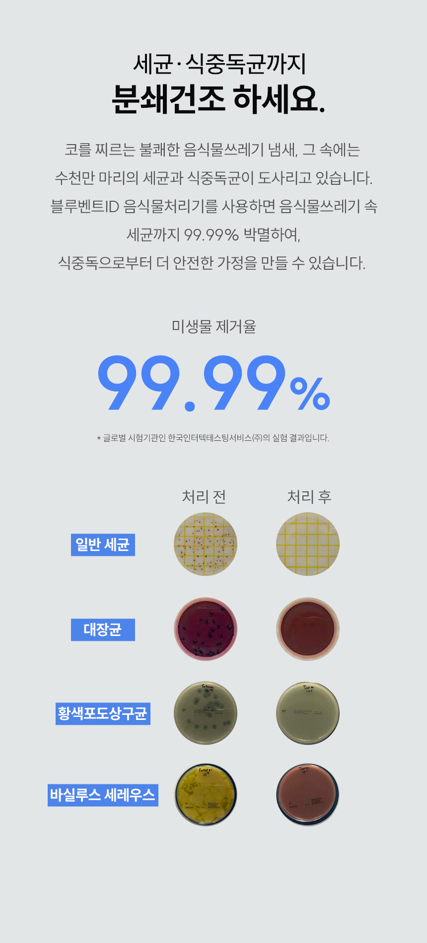블루벤트 ID 세균·식중독균 99.99% 박멸 - 일반세균, 대장균, 황색포도상구균, 바실루스 세레우스 처리 전후 비교