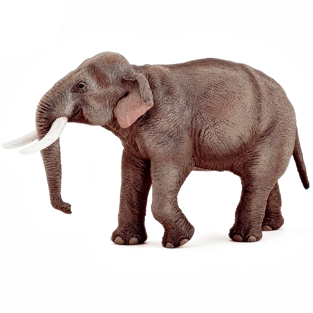 Oce 프랑스 핸드페인팅 아시아 코끼리 피규어 교구완구 아난감 프라모형동물