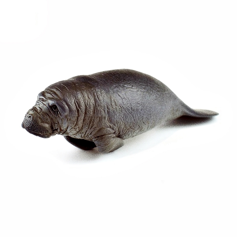 Oce 프랑스 핸드페인팅 New 매너티 바다소피규어 동물모형완구  매너티 바다소모형 아난감