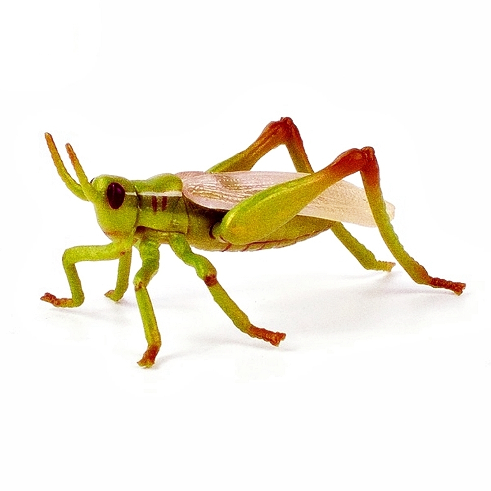 Oce 프랑스 핸드페인팅 메뚜기 피규어  메뚜기 모형 동물완구어린이날선물 동물프라모델