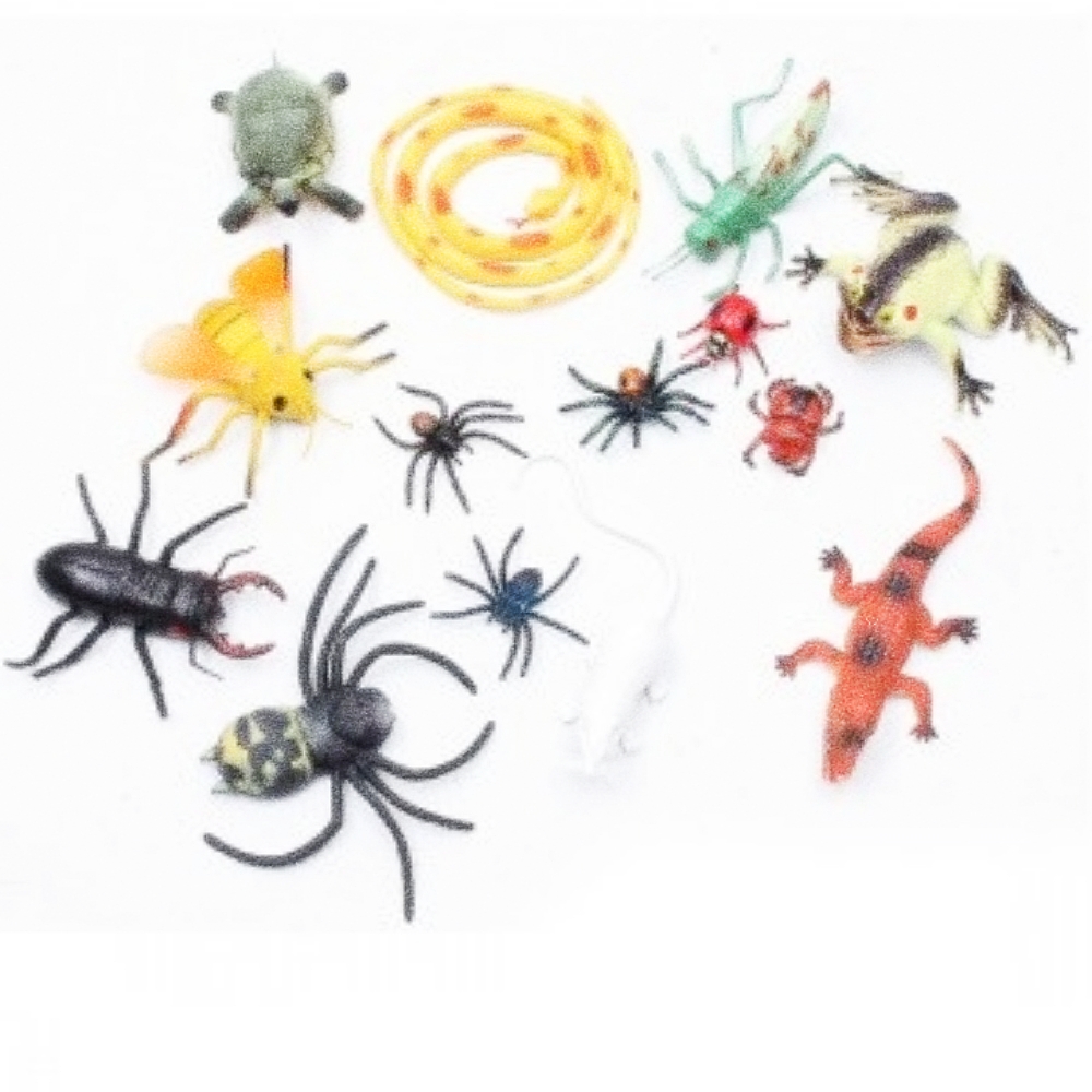 Oce 곤충 파충류 모형과 자연 탐구-설명카드 중형 어린이 완구 유아 체험 학습 놀이 오감 놀이