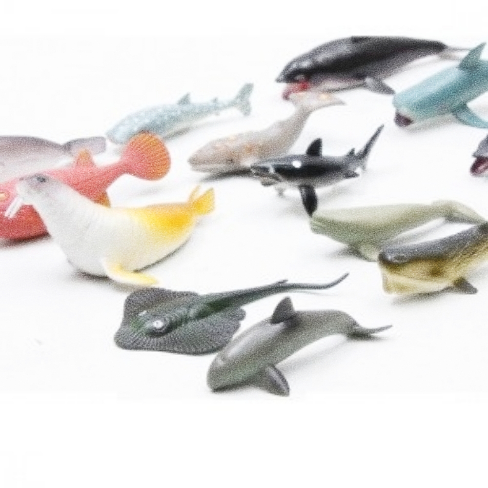 Oce 물고기 어류 모형과 자연 탐구-설명카드 중형 오감 놀이 촉감 발달 장난감 자연 놀이 키즈 토이