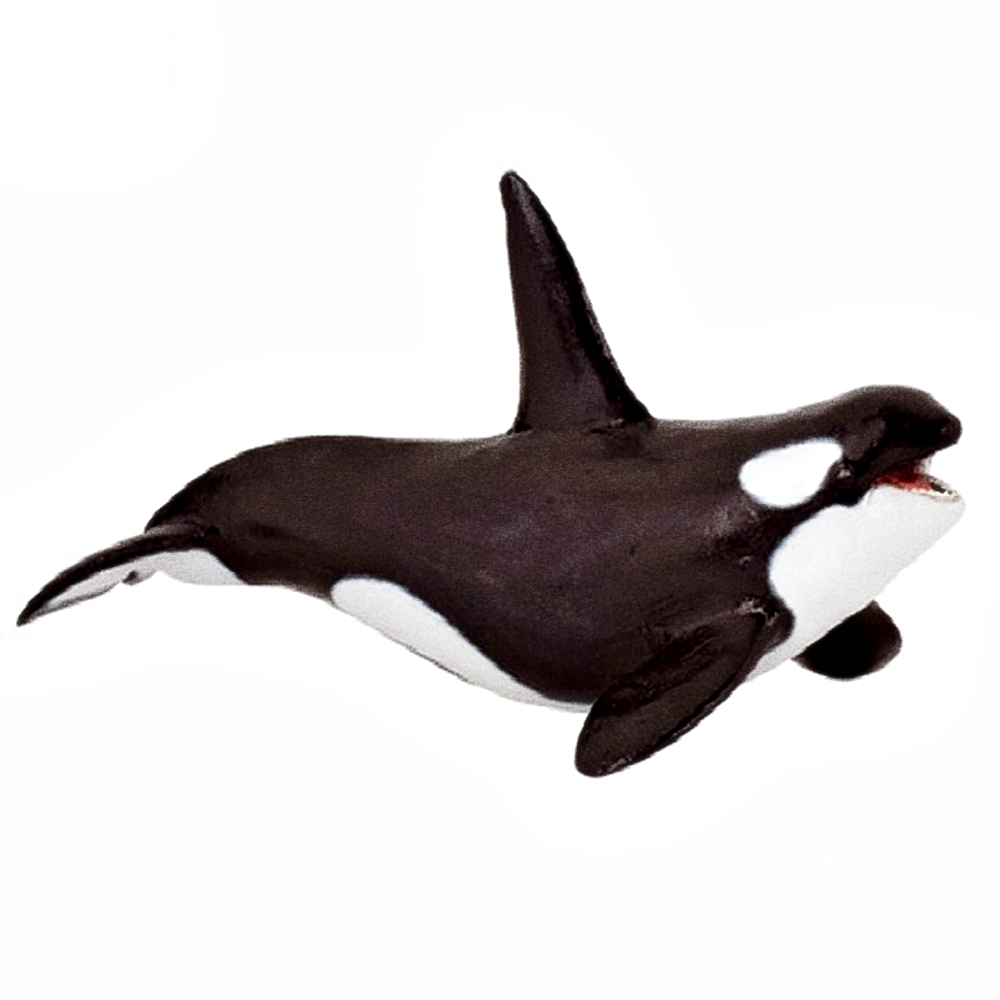 Oce 프랑스 핸드페인팅 범고래 피규어 유아장난감 교구완구 동물완구어린이날선물