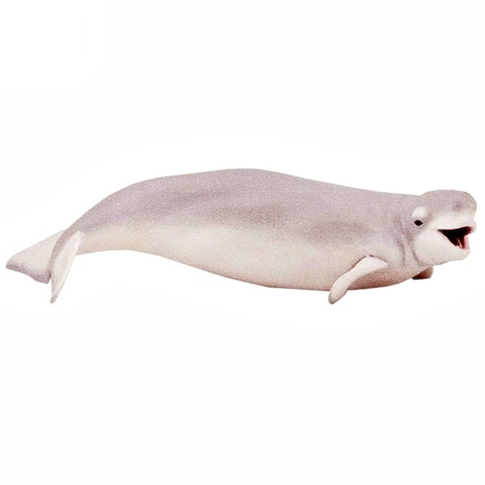 Oce 프랑스 핸드페인팅 벨루가 흰돌고래피규어 프라모형동물 동물피규어  벨루가 흰돌고래모형