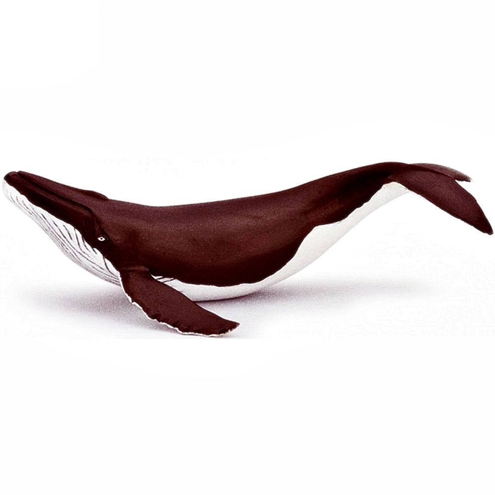 Oce 프랑스 핸드페인팅 아기 혹등고래 피규어 동물모형완구 정교한피규어 아난감