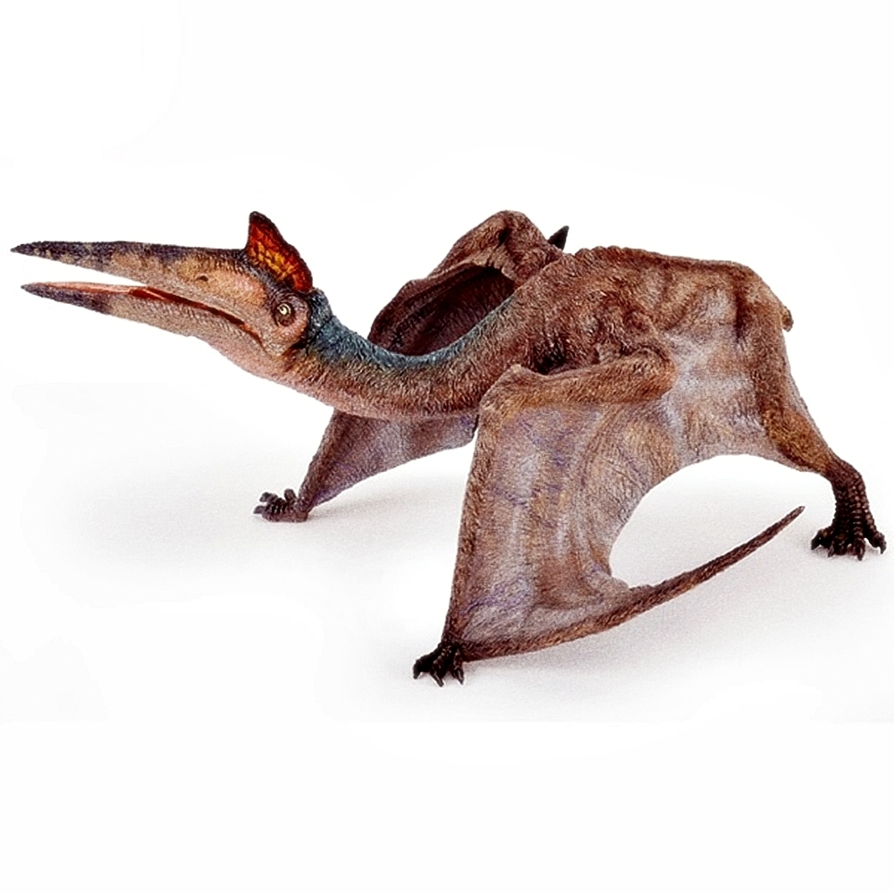 Oce 프랑스 핸드페인팅 케찰코아툴루스 피규어 교구완구 유아장난감 공룡모형완구