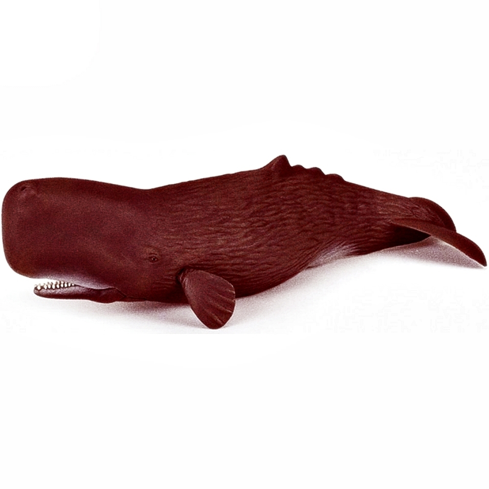 Oce 프랑스 핸드페인팅 New 향유고래 피규어 동물피규어 아난감 동물완구어린이날선물