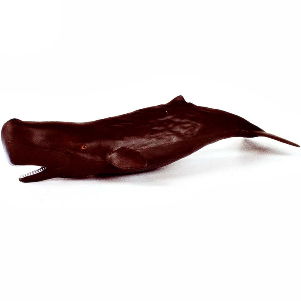Oce 프랑스 핸드페인팅 아기 향유고래 피규어 동물피규어 동물모형완구 교구완구