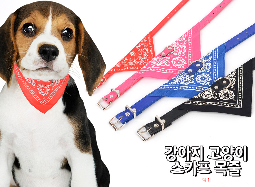반려견 케이프목줄 스카프 고양이 강아지 애견 산책 상세 이미지 2