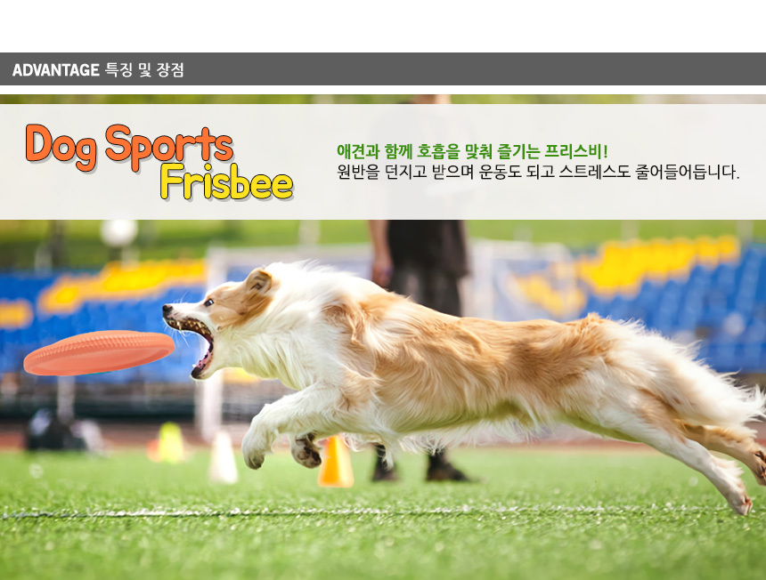고급형 반려견원반 원반장난감 애완견원반 애견 운동 상세 이미지 4
