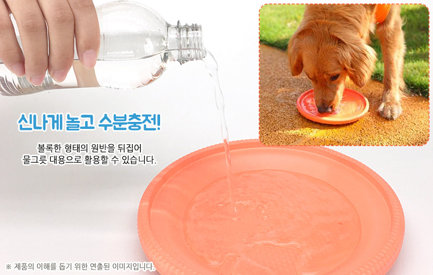 고급형 반려견원반 원반장난감 애완견원반 애견 운동 상세 이미지 6