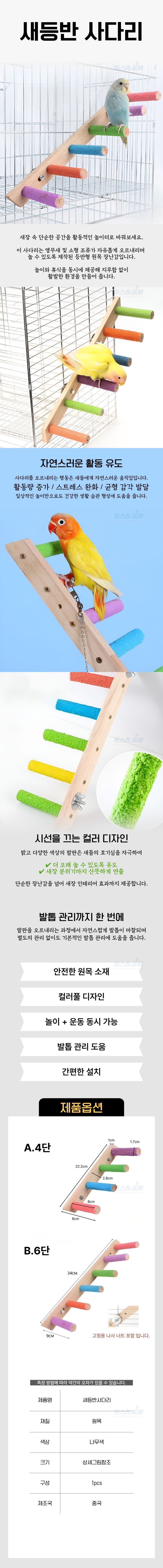 A2574  새등반사다리.jpg