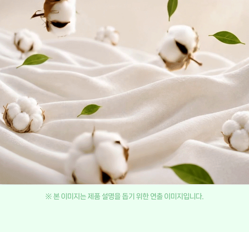 오가닉코튼 일자형 팬티라이너 제품 특징 시연