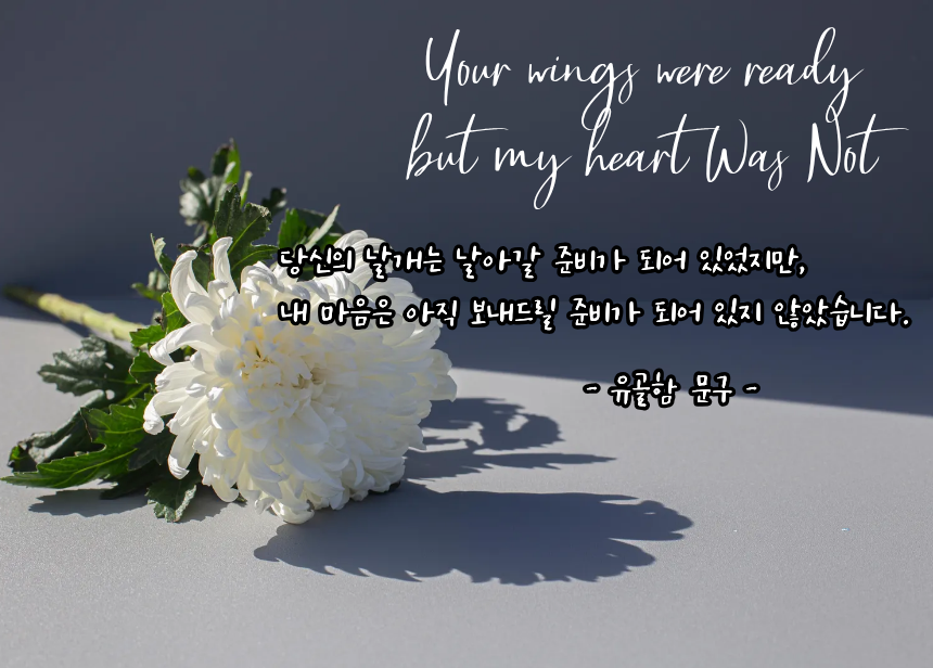 포레버펫 강아지유골함 고양이 추모함 강아지 유골 보관함 반려동물 메모리얼 스톤 보관 애견 반려견 상세 이미지 1