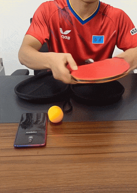 004_1.gif