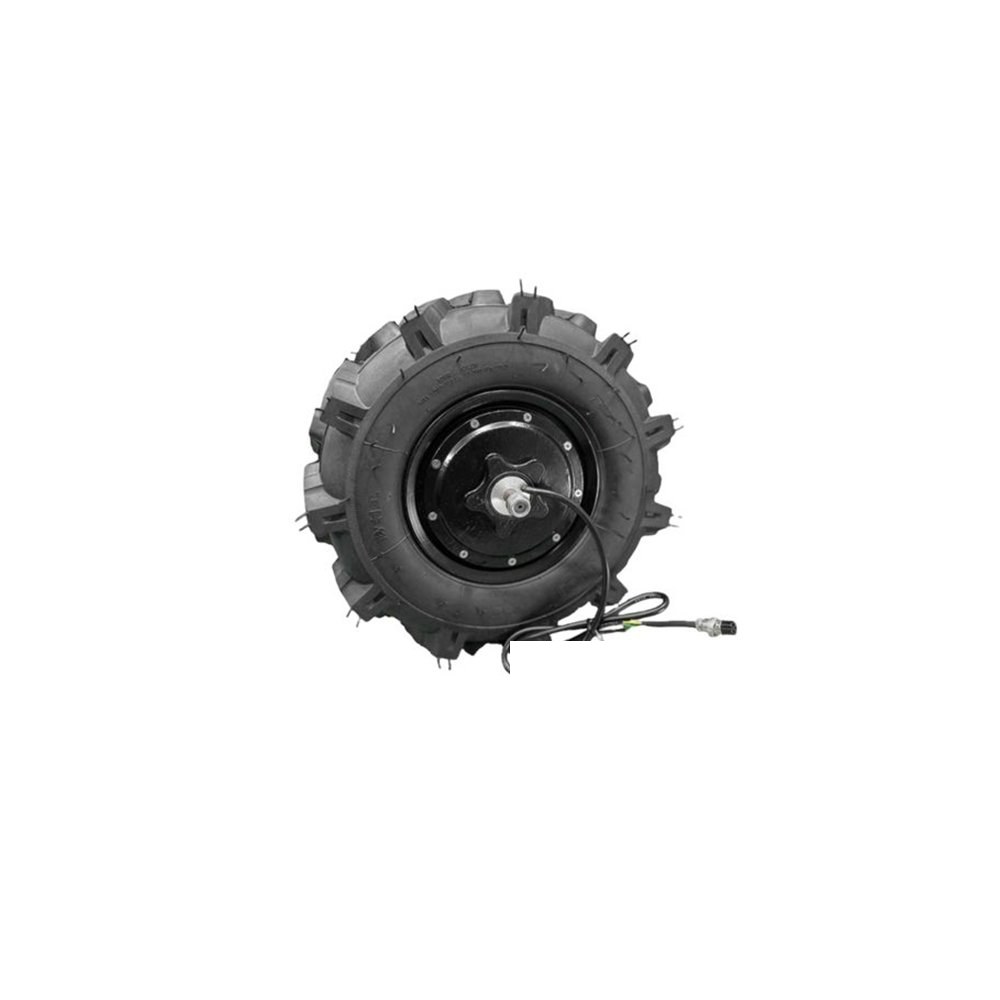 BLDC 모터 BWM-650 유성 기어 허브 인휠 세트 리튬 전지 48V 650W (ML2157)