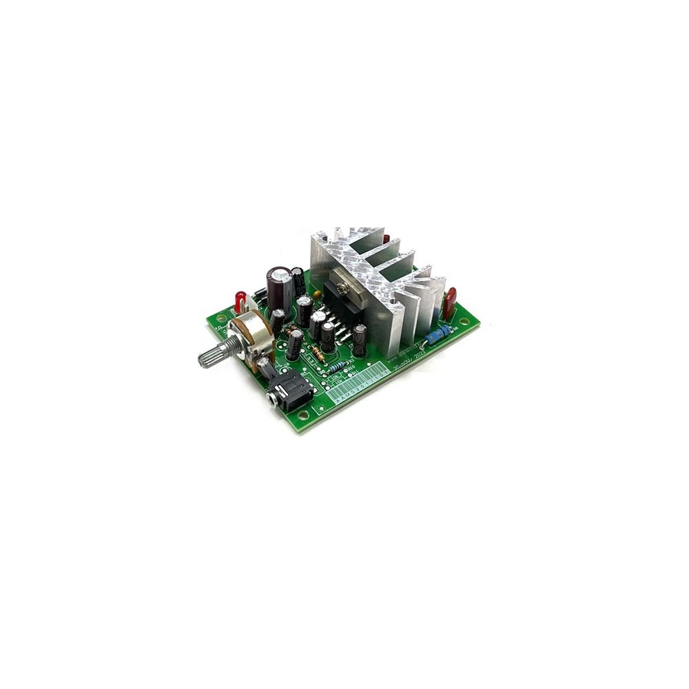Audio Amplifier 오디오 앰프 20와트 모노 AAM201 20W (HQ03856)
