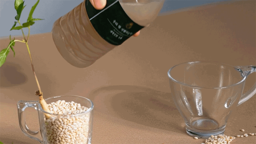 (이로운세상) 새싹인삼 수제 감주 전통 쌀 너무 달지않은 맛있는 식혜