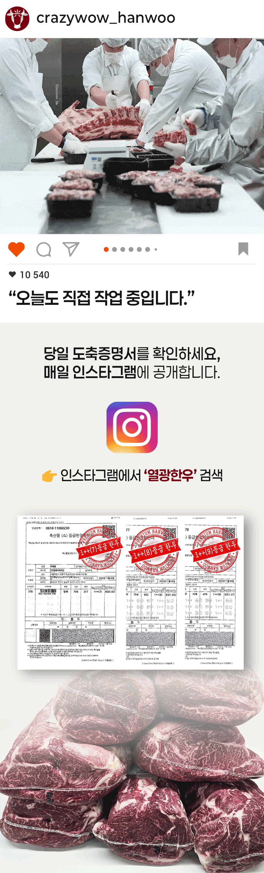 구매 만족도 99%를 기록한 실구매자의 한우 마블링 및 육향 실사용 후기
